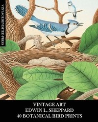 bokomslag Vintage Art