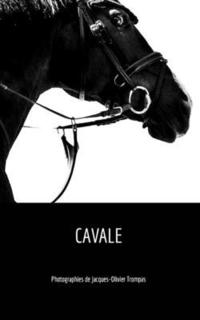 bokomslag Cavale