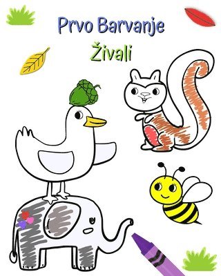 bokomslag Prvo Barvanje Zivali