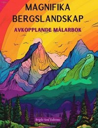 bokomslag Magnifika bergslandskap Avkopplande mlarbok Otroliga mnster fr naturlskare