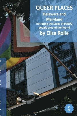 bokomslag Queer Places