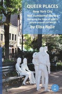 bokomslag Queer Places