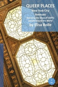 bokomslag Queer Places