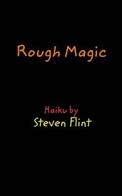 bokomslag Rough Magic