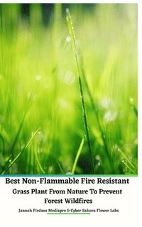 bokomslag Best Non-Flammable Fire Resistant Grass Plant From Nature to Prevent Forest Wildfires Hardcover Edition