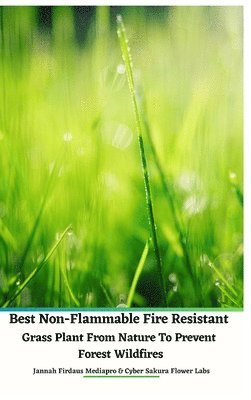 bokomslag Best Non-Flammable Fire Resistant Grass Plant From Nature to Prevent Forest Wildfires Hardcover Edition