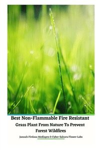 bokomslag Best Non-Flammable Fire Resistant Grass Plant From Nature to Prevent Forest Wildfires