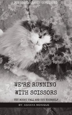 bokomslag We're Running With Scissors