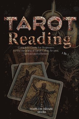 bokomslag Tarot Reading