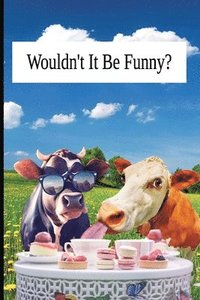bokomslag Wouldn't It Be Funny