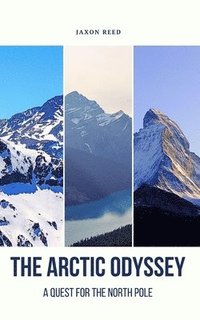 bokomslag Arctic Odyssey