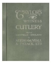 bokomslag Taylor's Eye Witness