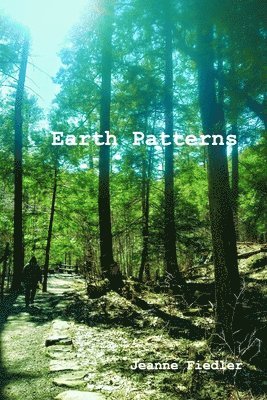 bokomslag Earth Patterns