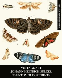 bokomslag Vintage Art