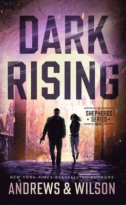 bokomslag Dark Rising