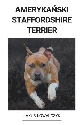 Ameryka&#324;ski Staffordshire Terrier 1