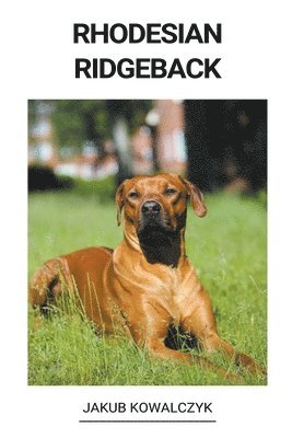 Rhodesian Ridgeback 1