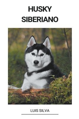 bokomslag Husky Siberiano