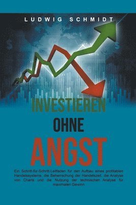 Ludwig Schmidt - Investieren ohne Angst, Häftad