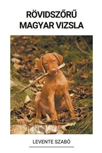 bokomslag Rvidsz&#337;r&#369; Magyar Vizsla