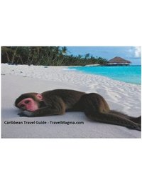 bokomslag Caribbean Travel Guide - Explore the Caribbean Islands