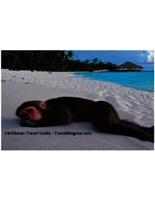 Travelmagma - Caribbean Travel Guide - Explore the Caribbean Islands, Häftad
