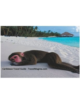 bokomslag Caribbean Travel Guide - Explore the Caribbean Islands