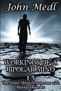 bokomslag Workings of A Bipolar Mind 1-3 Omnibus