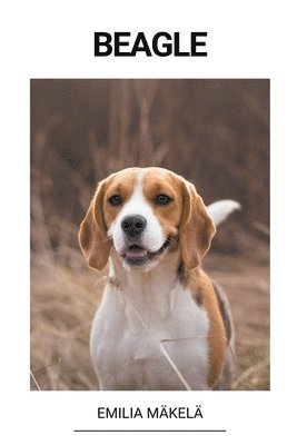 bokomslag Beagle