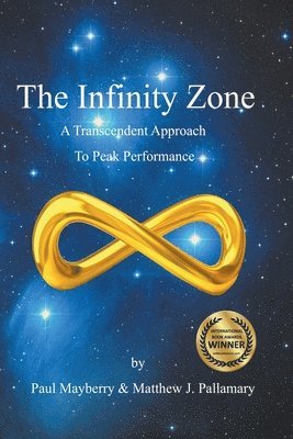 bokomslag Infinity Zone