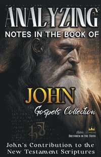 bokomslag Analyzing Notes in the Book of John