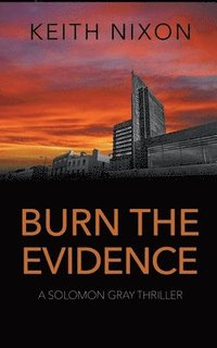 bokomslag Burn The Evidence