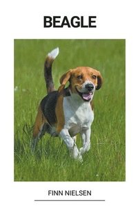 bokomslag Beagle