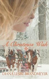 bokomslag A Christmas Wish