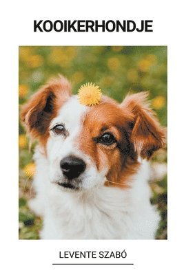 bokomslag Kooikerhondje