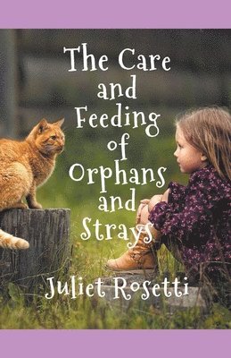 Care & Feeding of Orphans and Strays