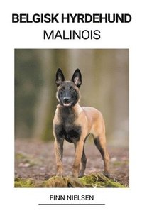 bokomslag Belgisk Hyrdehund (Malinois)