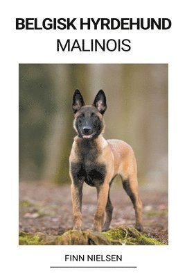 Belgisk Hyrdehund (Malinois) 1