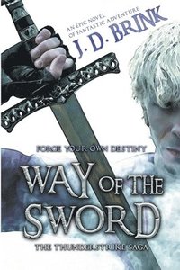 bokomslag Way of the Sword