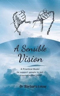 bokomslag A Sensible Vision