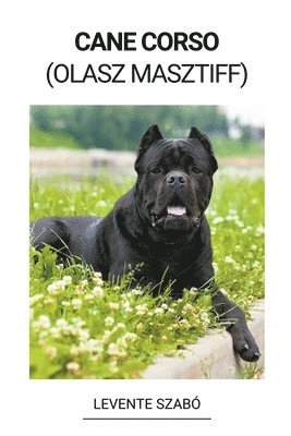 Levente Szabó - Cane Corso (Olasz Masztiff), Häftad