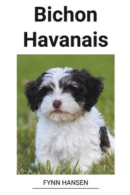 bokomslag Bichon Havanais