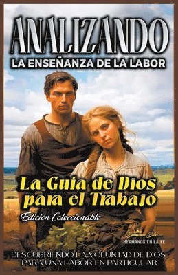 Sermones Bíblicos - Analizando la Enseñanza de la Labor, Häftad