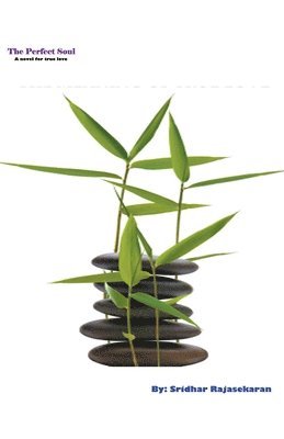 Perfect Soul