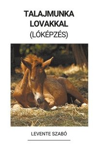 bokomslag Talajmunka Lovakkal (Lóképzés)