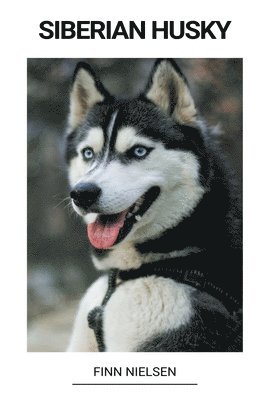 bokomslag Siberian Husky