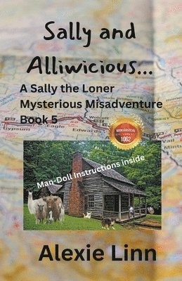 Alexie Linn - Sally and Alliwicious..., Häftad
