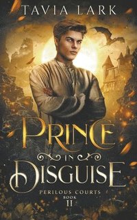 bokomslag Prince in Disguise