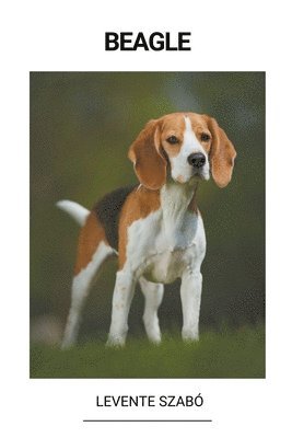 bokomslag Beagle