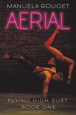 Aerial 1